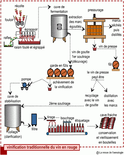 vinification.gif